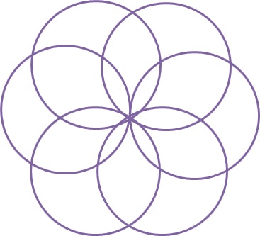 6 circle flower of life
