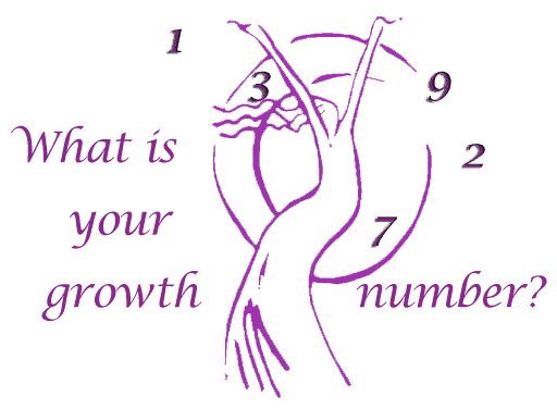 what is your growth number?