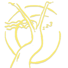 Numerology4YourSoul logo