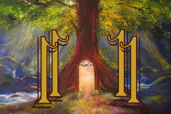 Today is 11-11  A Powerful Portal to a New Beginning